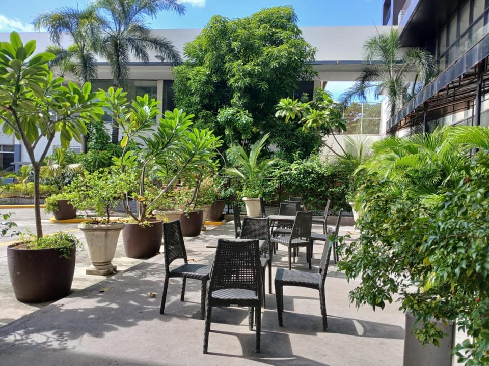 Garden view