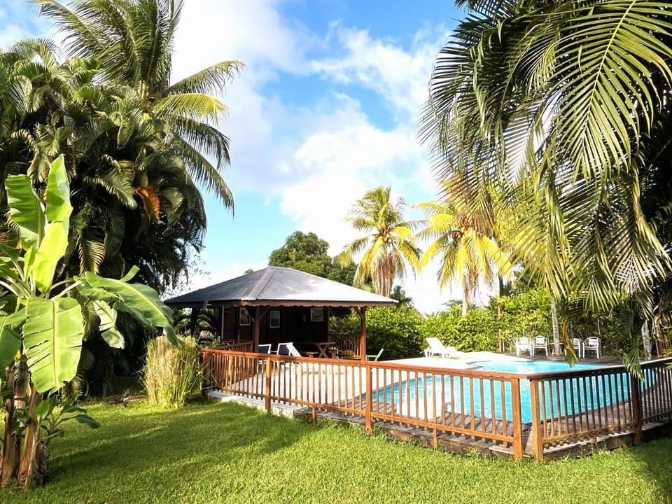 Garden, Swimming pool