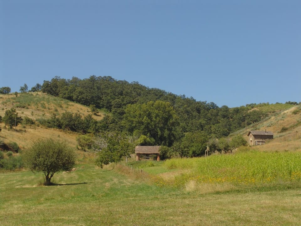 Quinta da Alagoa Farm Stay in Vila Real District