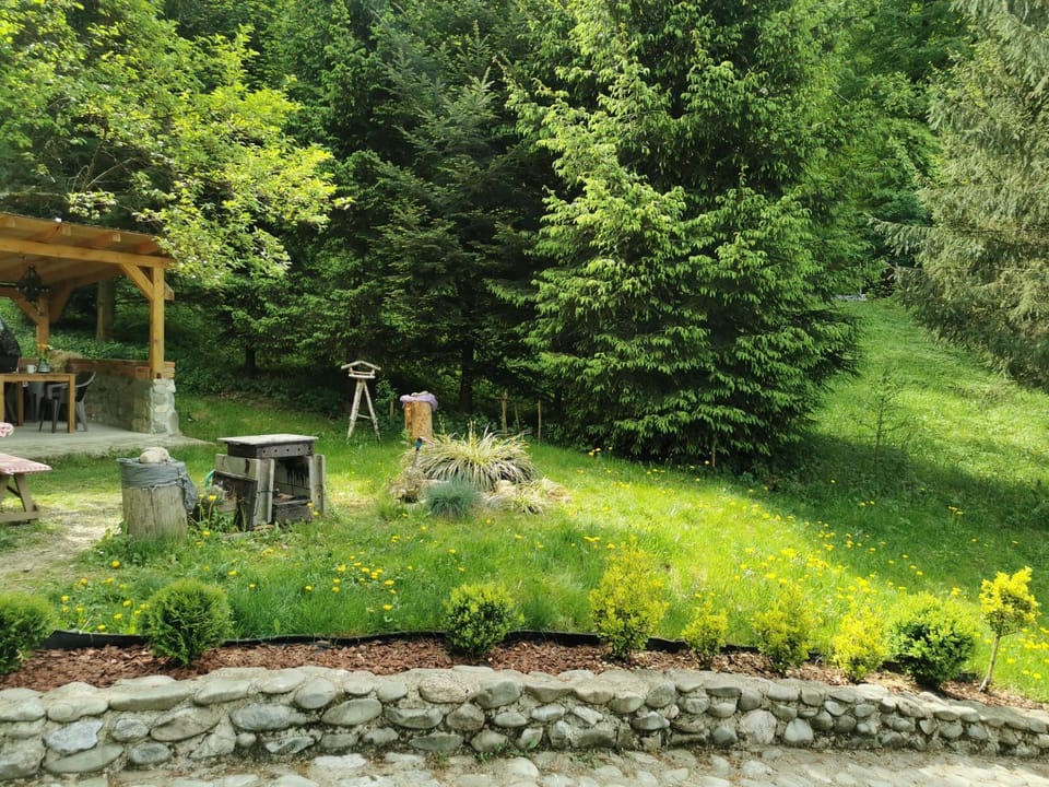 Spring, Day, Natural landscape, Garden, Garden view