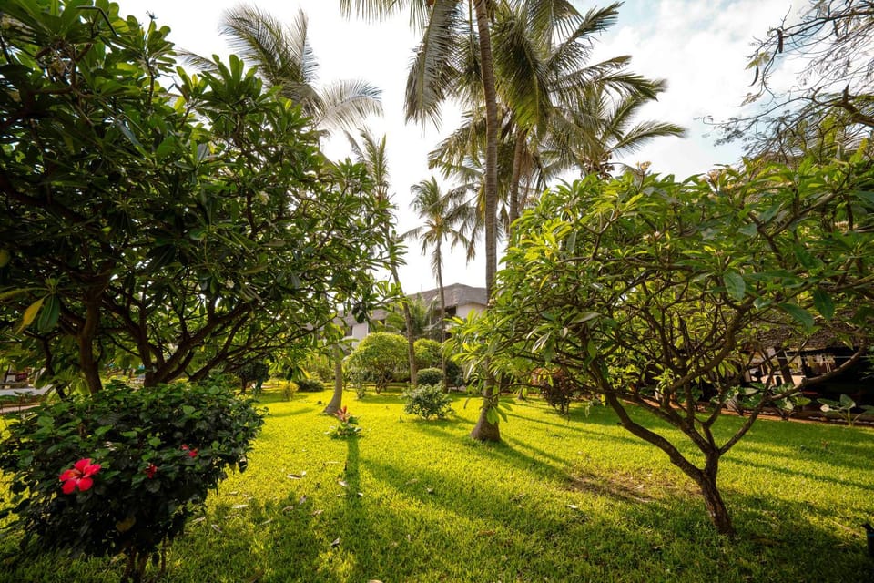 Garden, Garden view