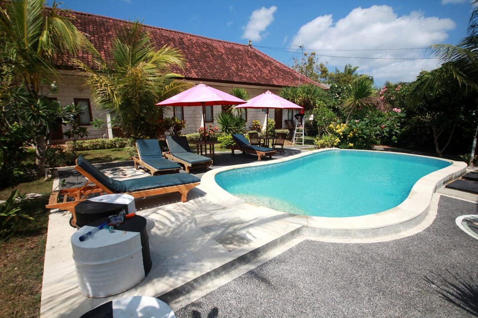 Garden, On site, Swimming pool