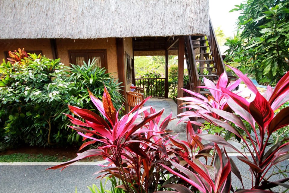 Garden, Bedroom