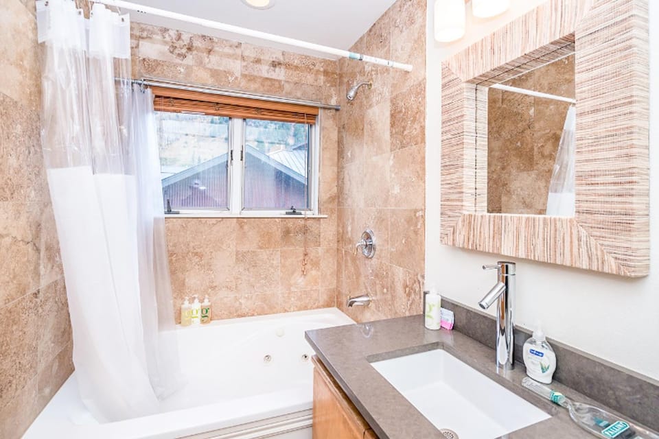 Lulu City 3E Apartment in Telluride