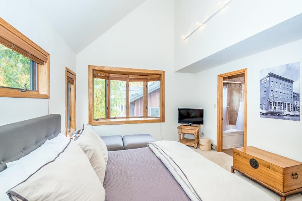 Lulu City 3E Apartment in Telluride