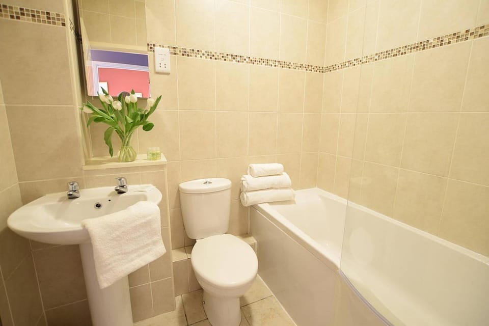 Toilet, Bathroom, Bath