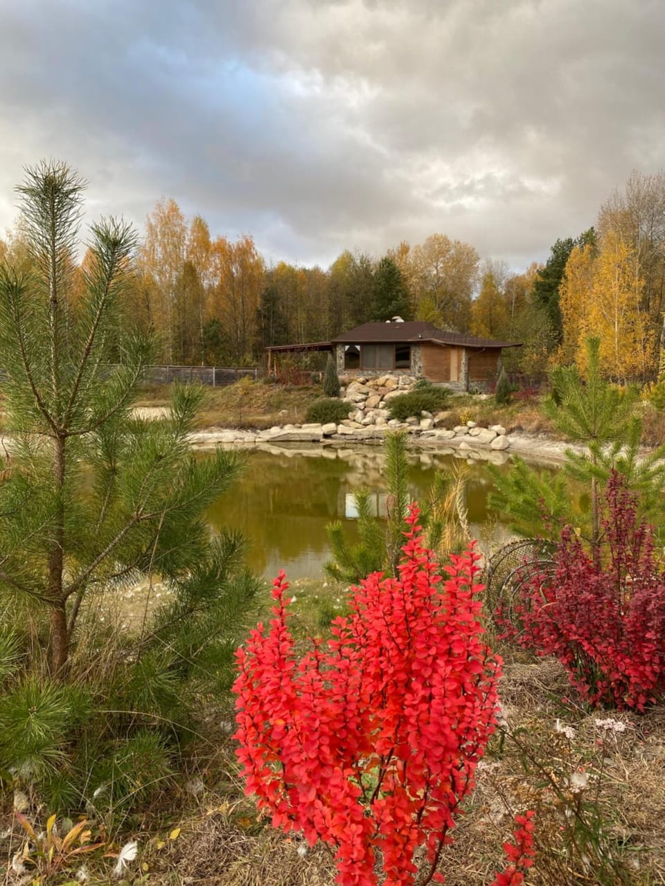 Диброва Campground/ 
RV Resort in Ukraine