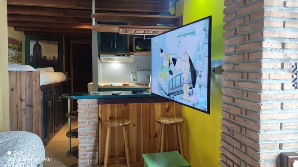 Communal lounge/ TV room, TV and multimedia