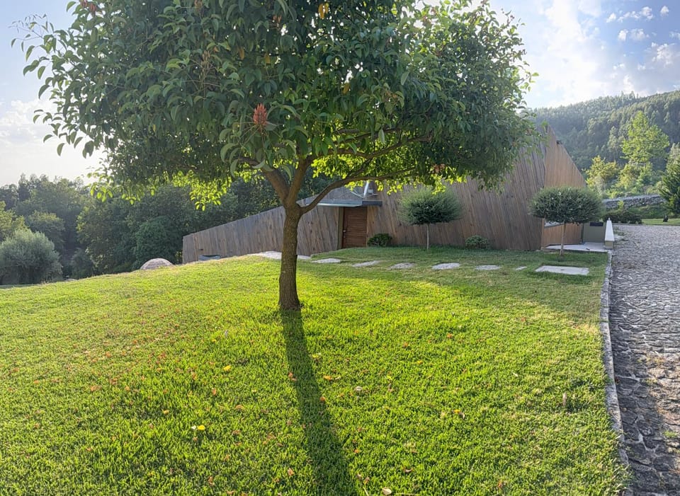 Natural landscape, Garden view