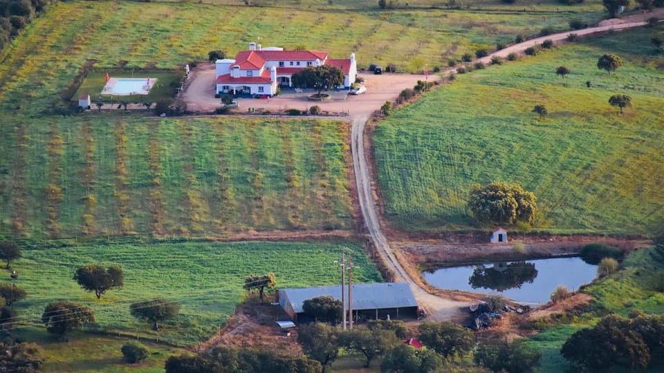 Off site, Bird's eye view