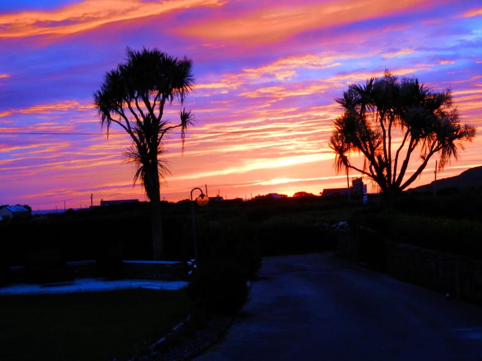 Garden, Sunset