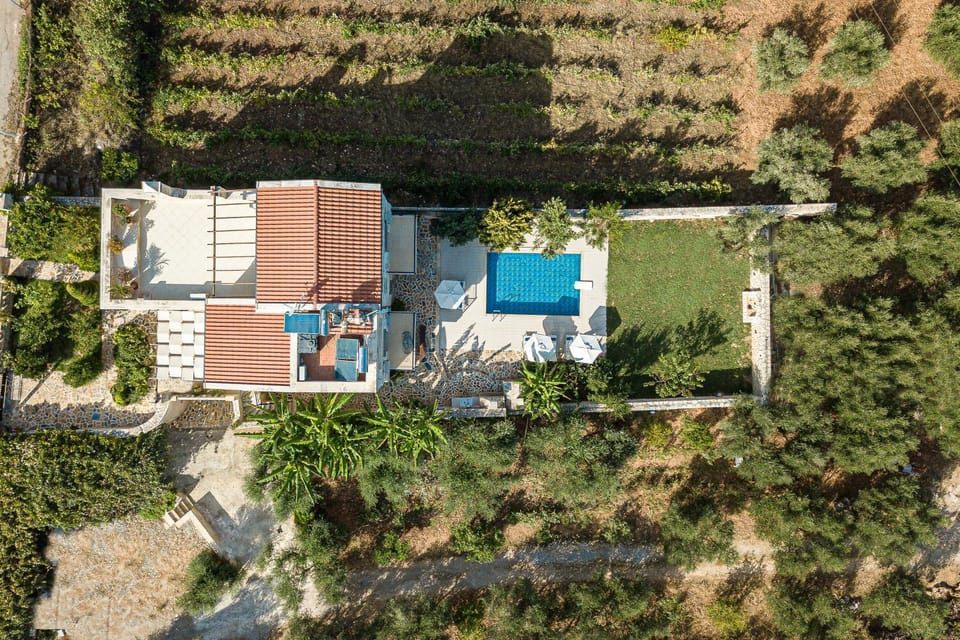 Natural landscape, Summer, On site, Swimming pool, Swimming pool
