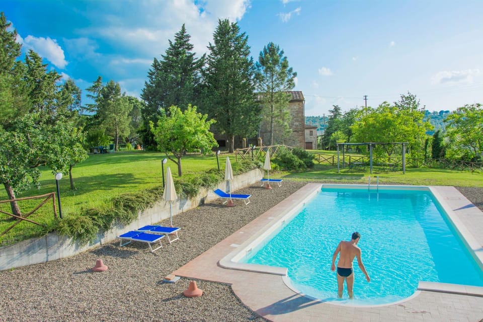 Guests, Swimming pool, Entertainment