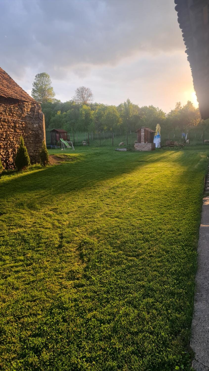 Garden view, Sunset