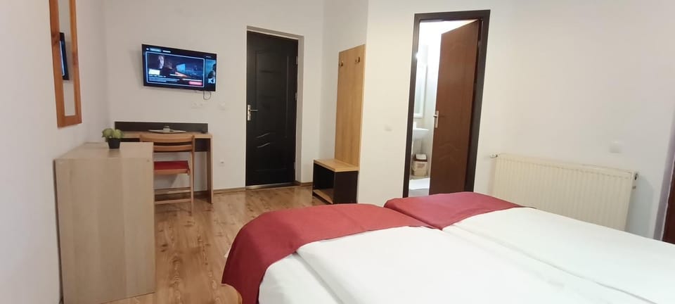 Pensiunea Bulevard Bed and Breakfast in Romania