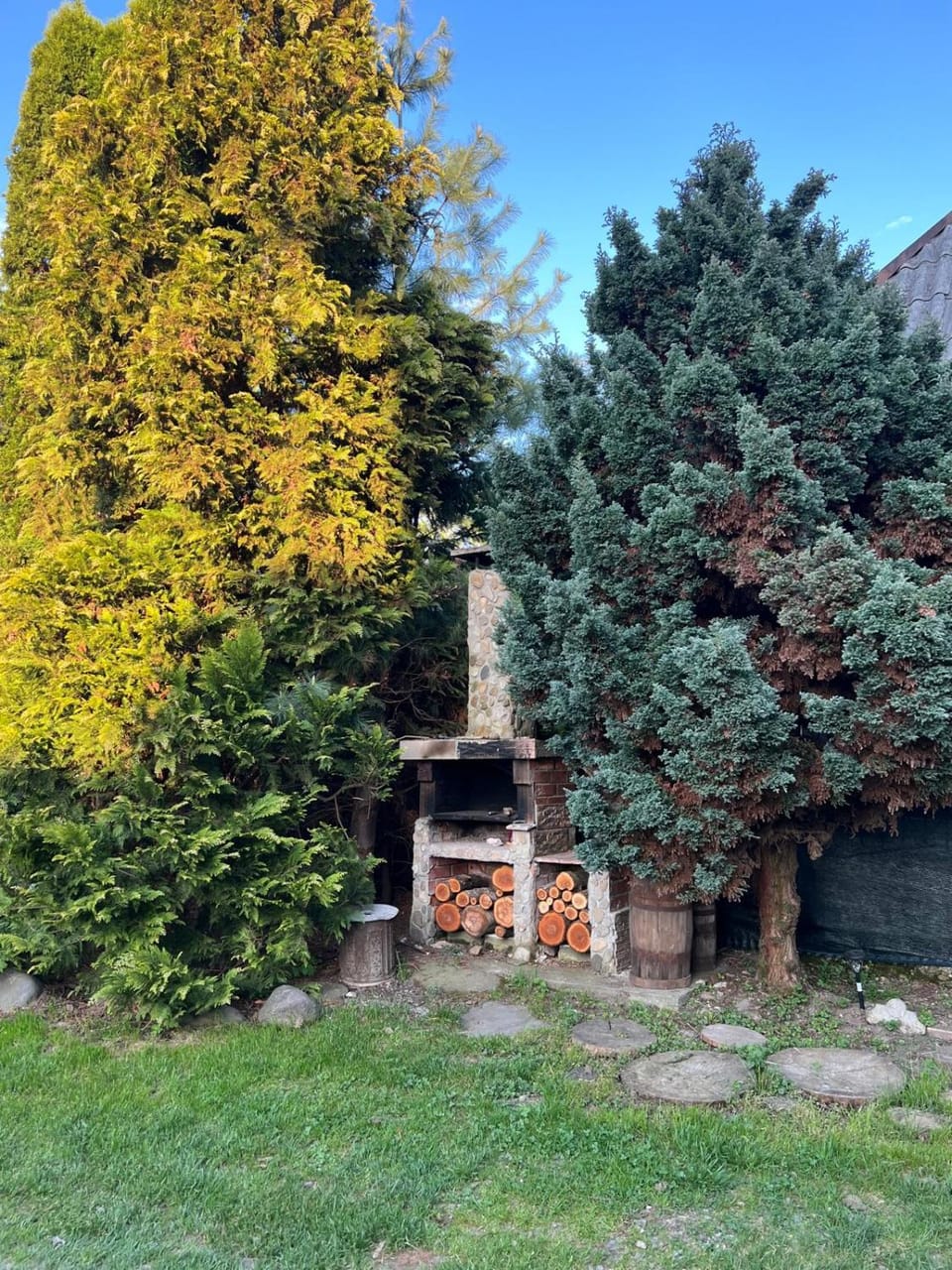 Pension Bud Bed and Breakfast in Romania