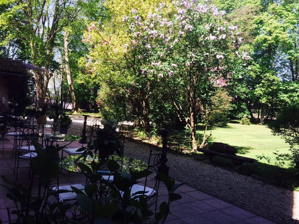 Spring, Summer, Garden, Balcony/Terrace, Animals, Animals, Pets, Pets, Garden view
