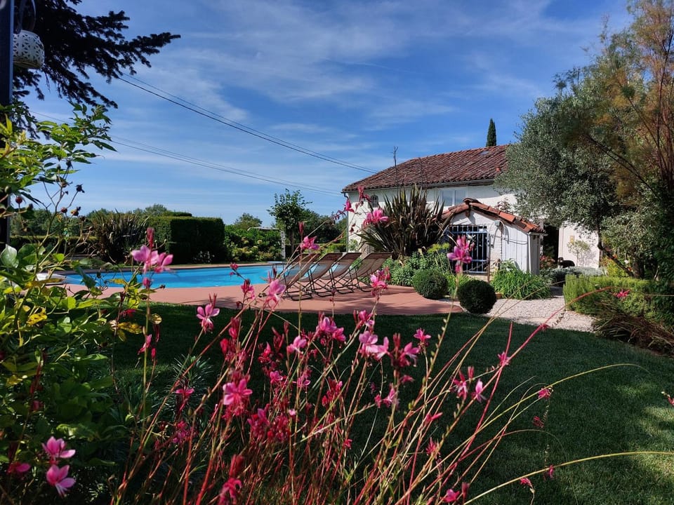 Pool view