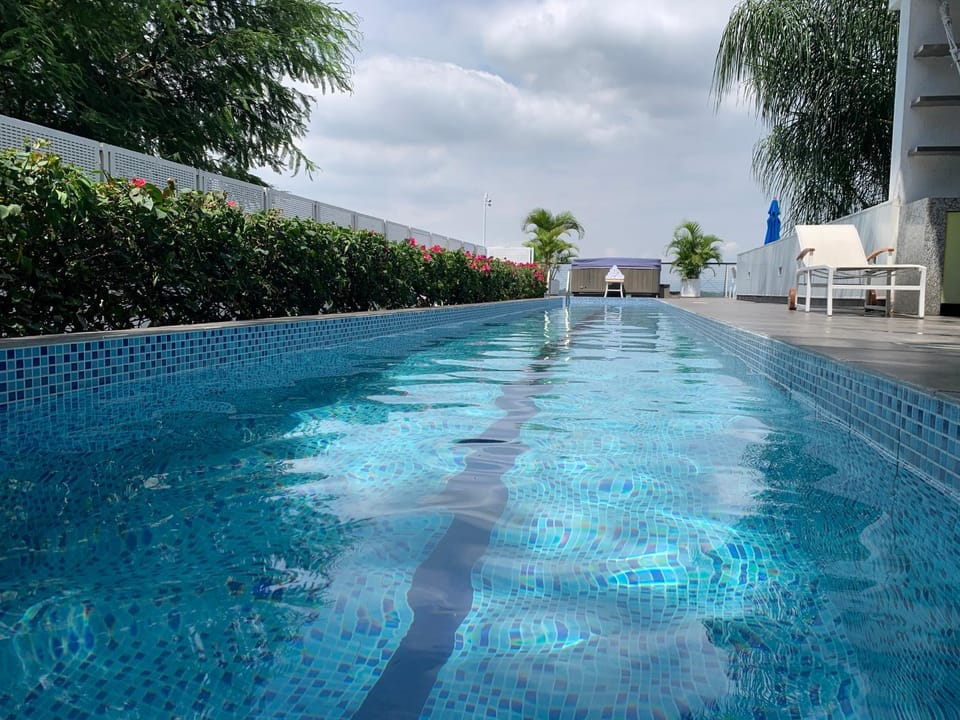 Day, Pool view, Swimming pool, sunbed