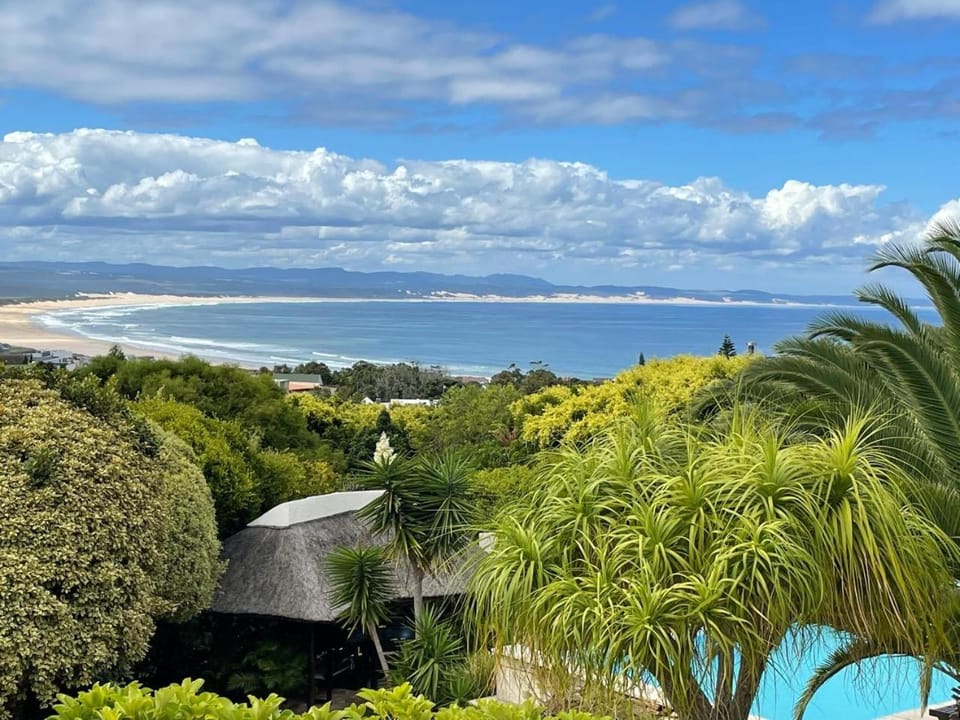 The Ocean Bay Luxury Guesthouse Bed and Breakfast in Eastern Cape