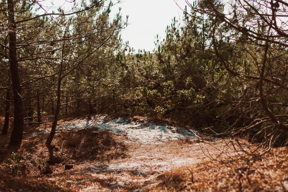 Natural landscape