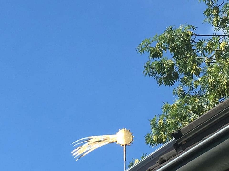 View (from property/room), Decorative detail
