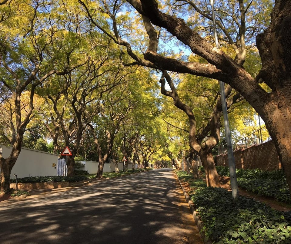 Day, Neighbourhood, Natural landscape, Street view