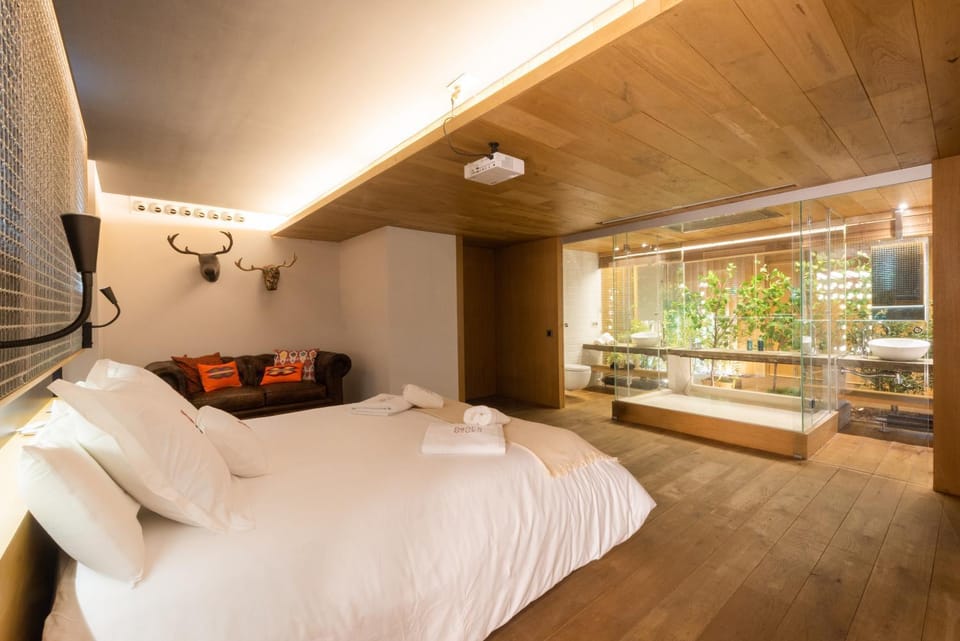 Bed, Bathroom, TV and multimedia, Photo of the whole room, Bedroom