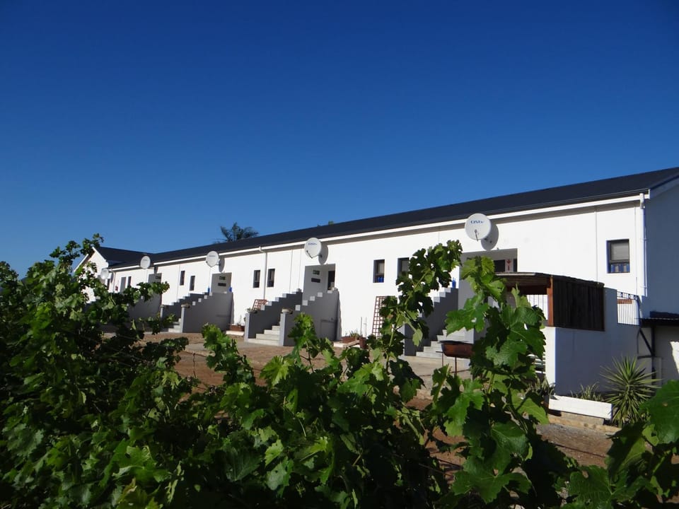 Property building, Garden, Garden view