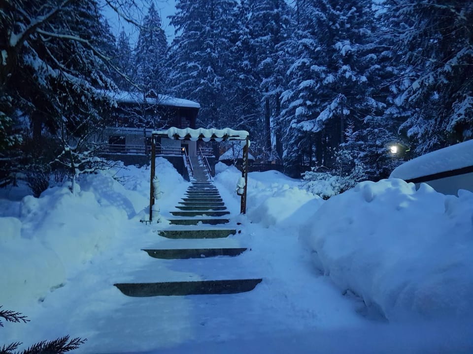Vila Carolyne Nature lodge in Prahova, Romania