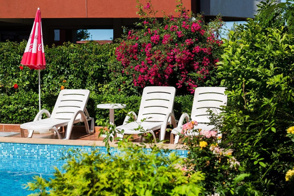 Garden, Swimming pool, sunbed