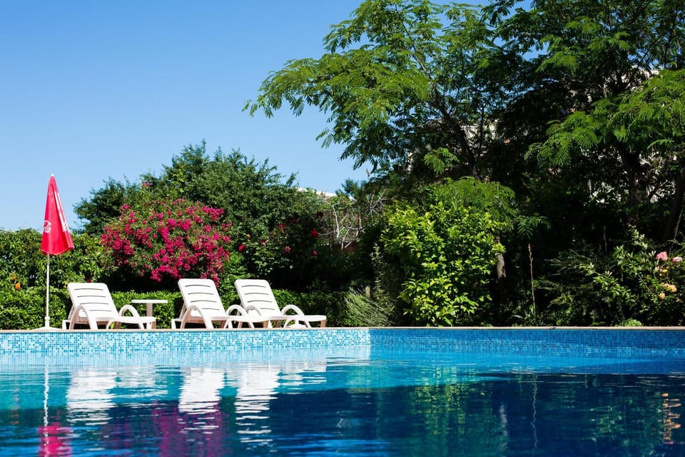 Garden, Swimming pool, sunbed