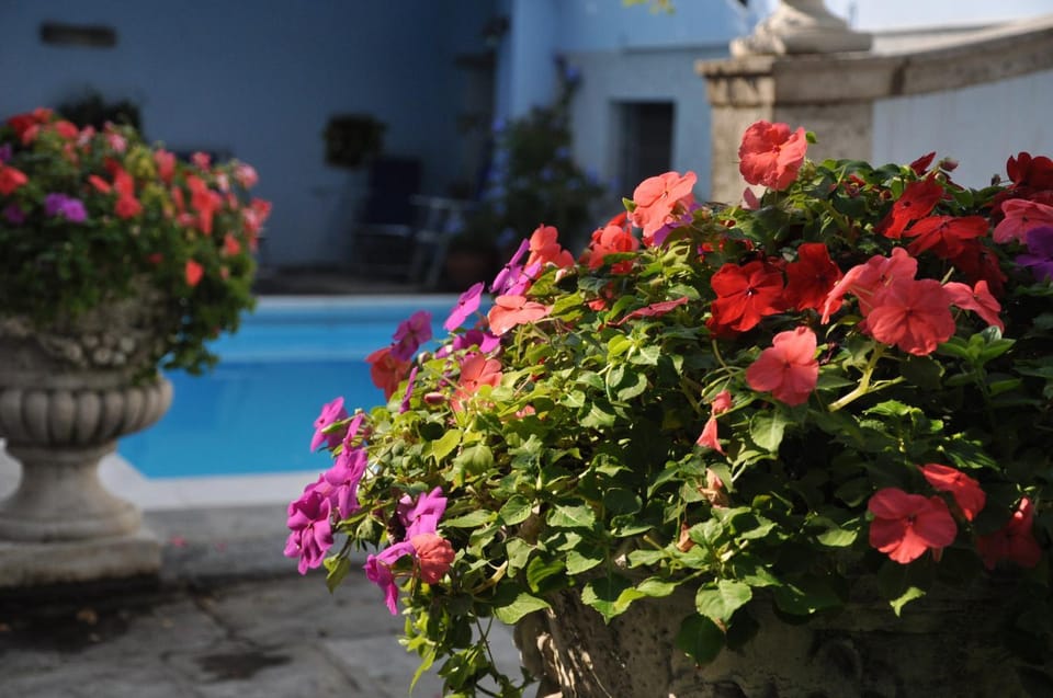 Swimming pool, Swimming pool