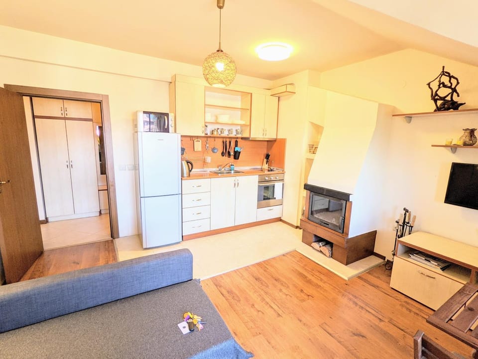 Kitchen or kitchenette, flat iron, minibar, oven, pet friendly, stove