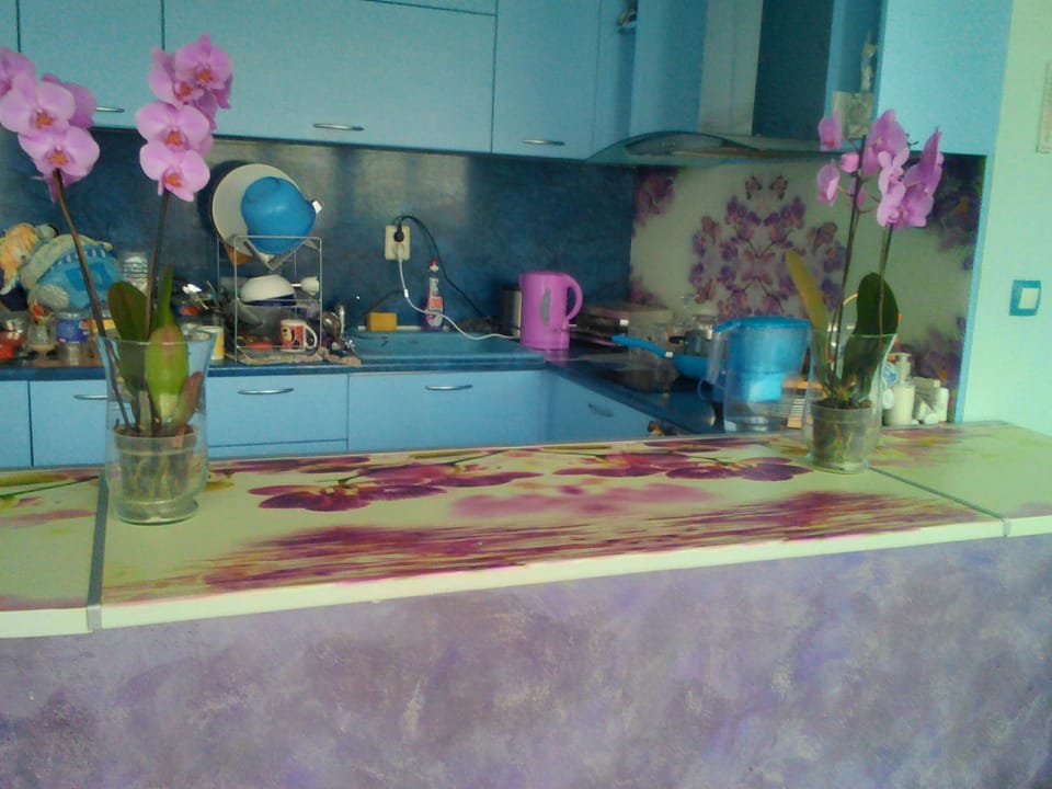 Orchid Apartment Apartment in Gabrovo