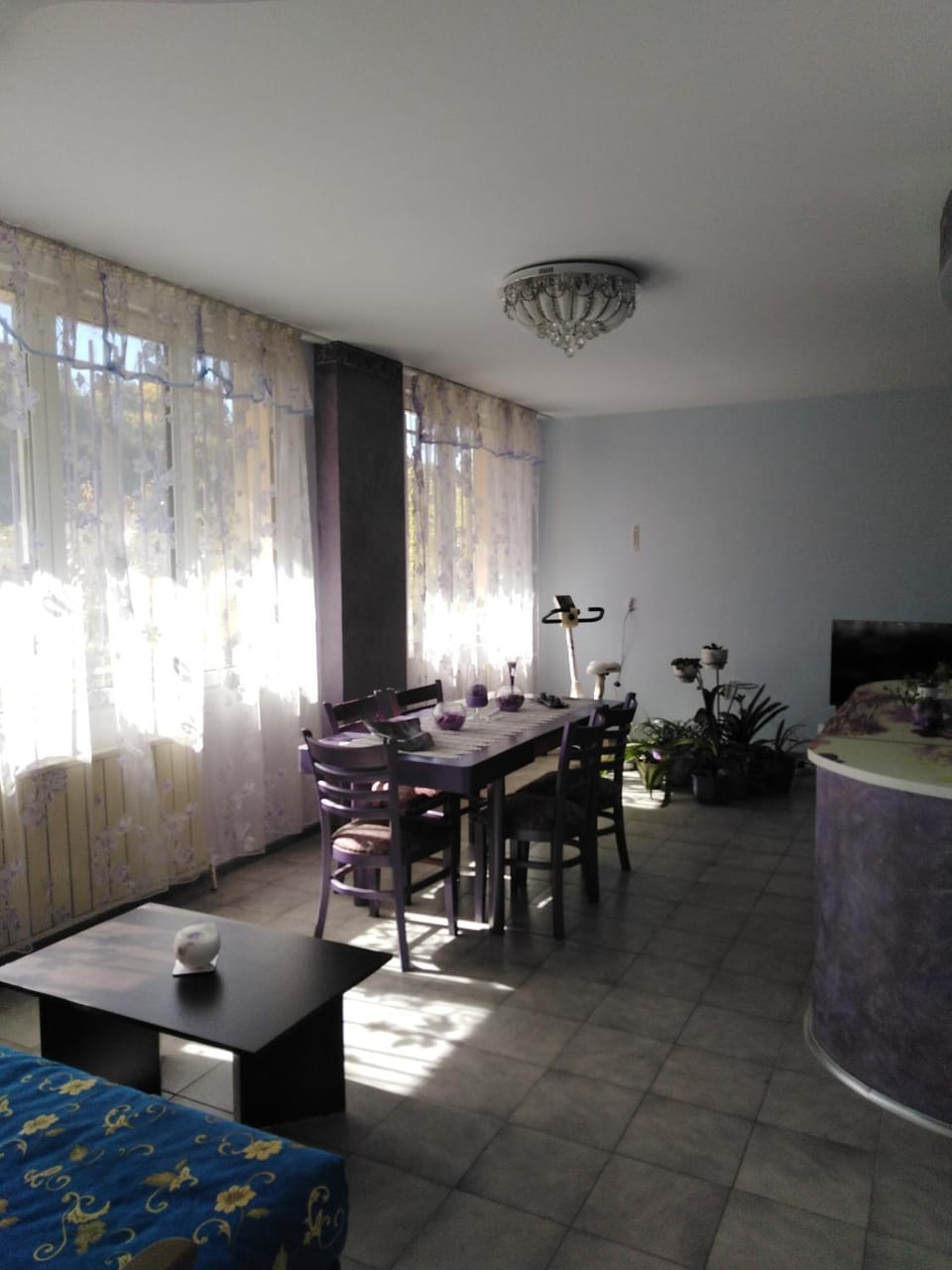 Orchid Apartment Apartment in Gabrovo