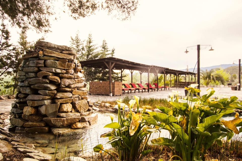 Patio, Spring, Garden, On site, Swimming pool