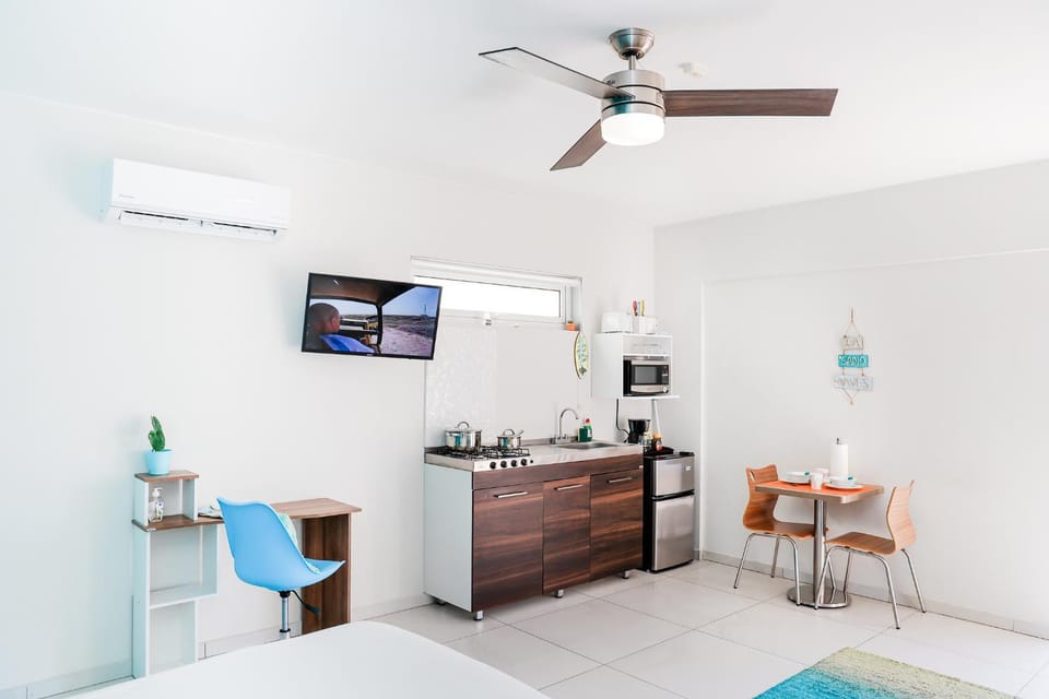 TV and multimedia, Kitchen or kitchenette, fireplace, pet friendly, air conditioner