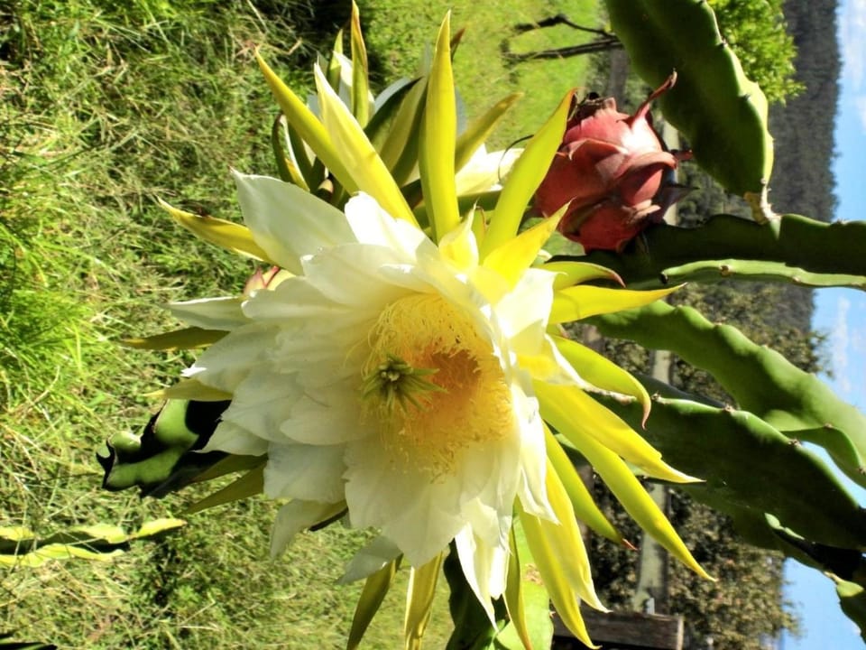 Quinta de S. Vicente 317 House in Porto District