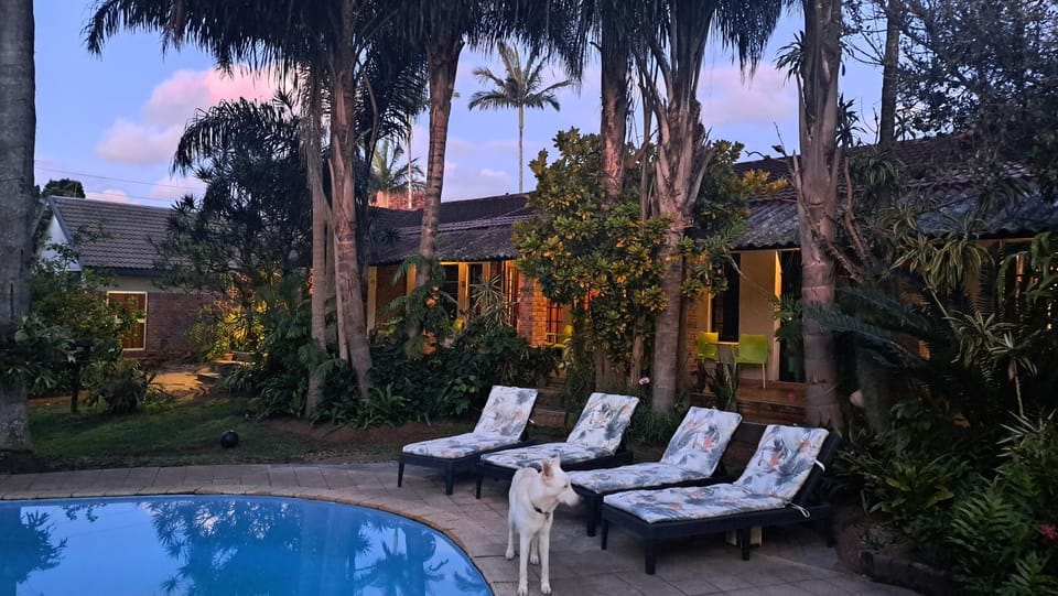 Garden, Pool view, Swimming pool, sunbed