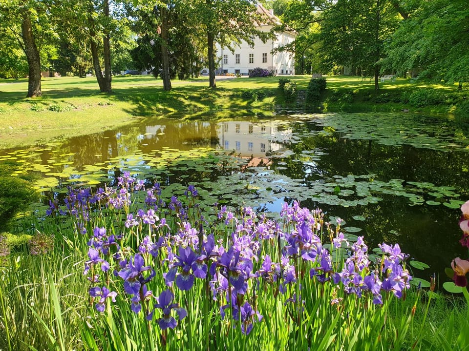 Natural landscape, Garden, Garden view