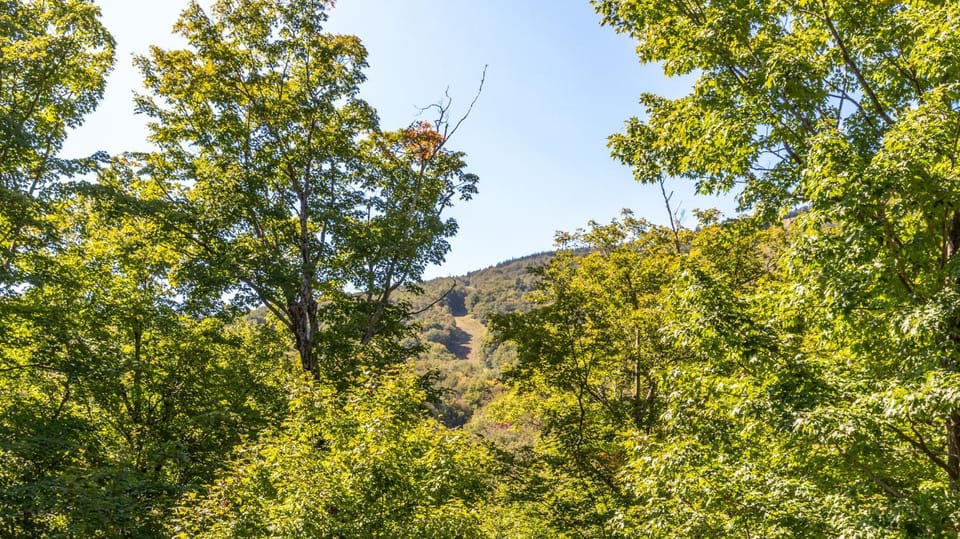 1125 Lodge At Spruce Peak Ski In Ski In Ski Out King Studio By Stowe Mountain Rentals Resort in Stowe