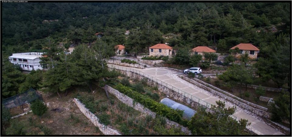 Natural landscape
