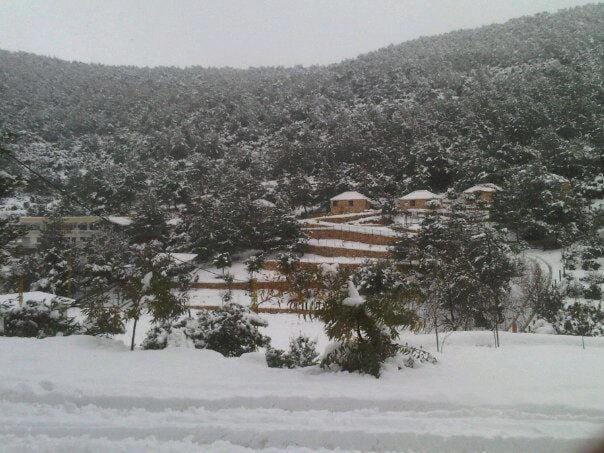 Natural landscape