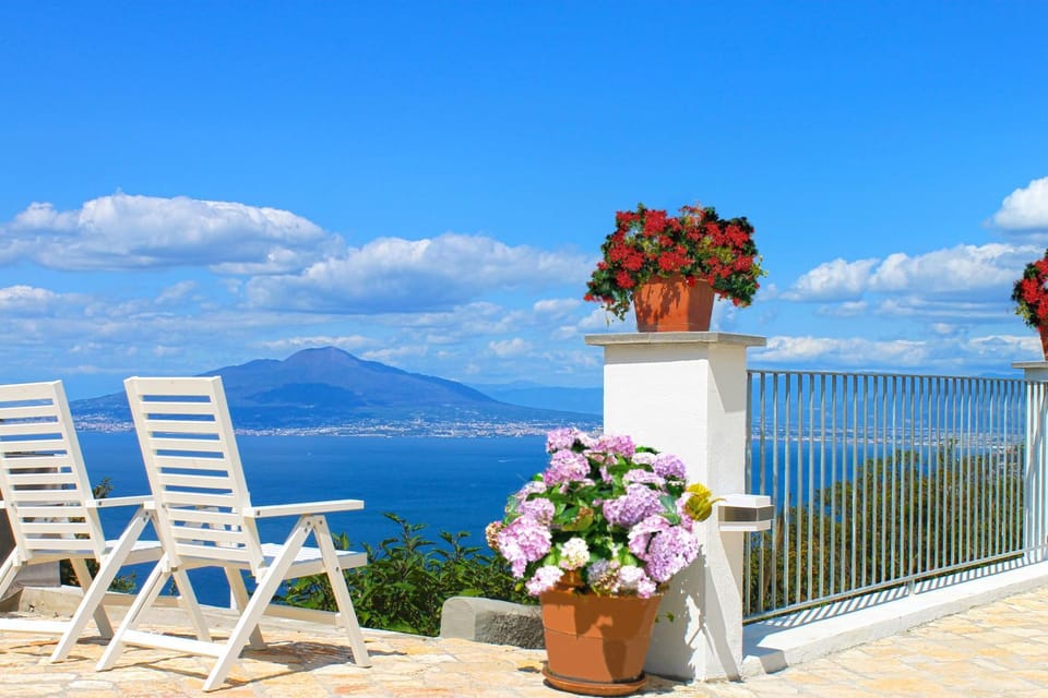 View (from property/room)