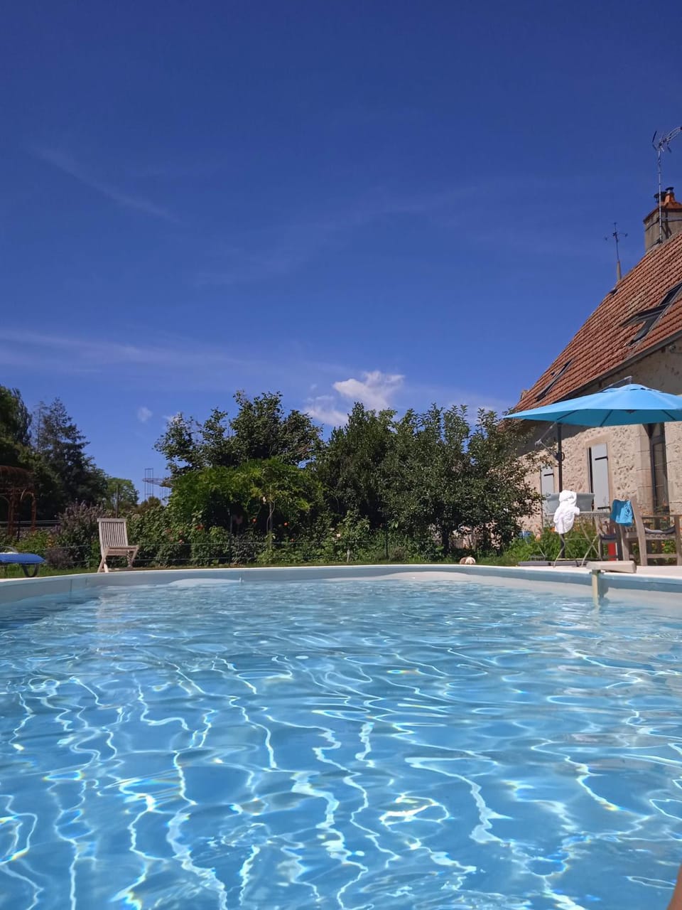 Garden, Swimming pool