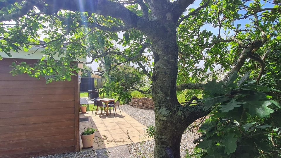 Patio, Facade/entrance, Garden
