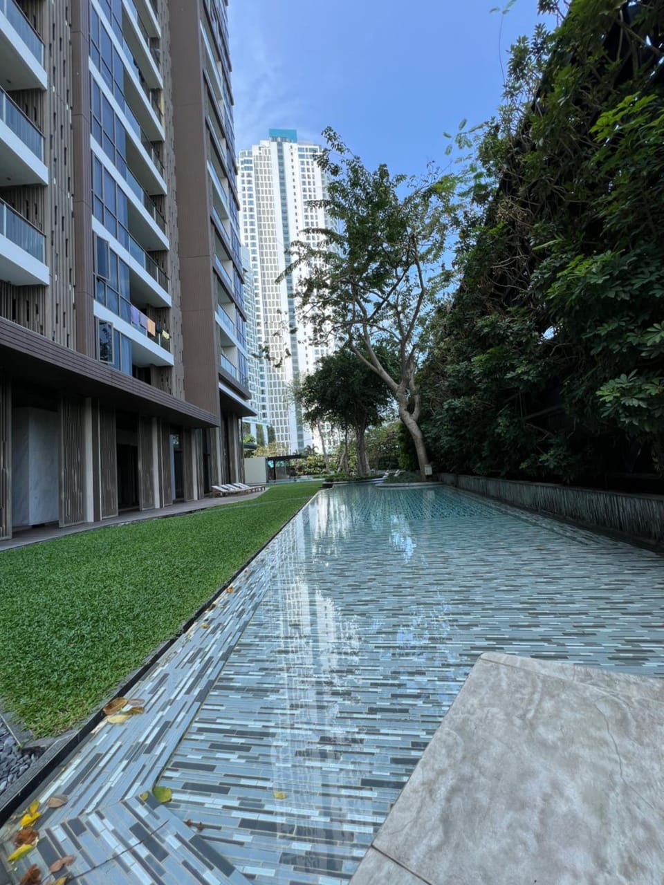 Garden, Garden view, Swimming pool