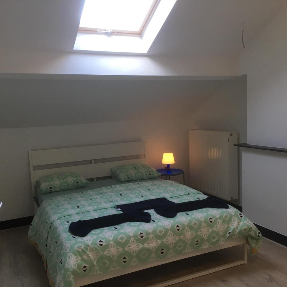 Leonard room Bed and Breakfast in Liège