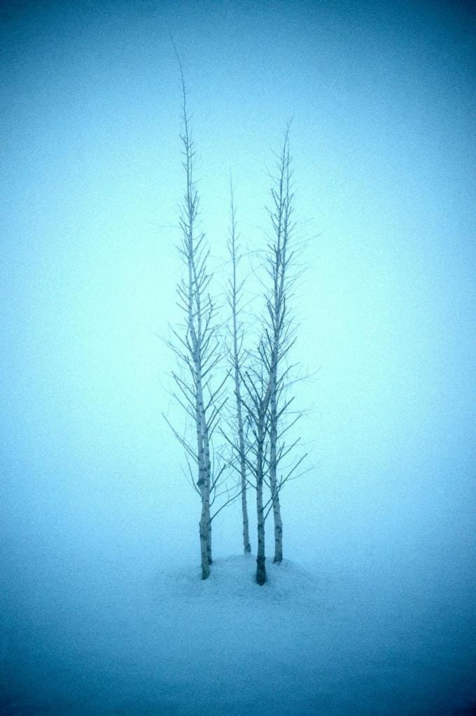 Natural landscape